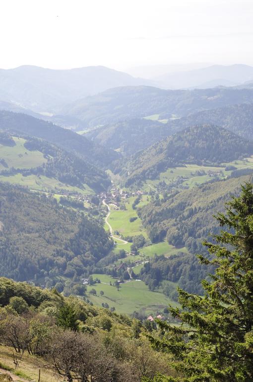 Pension Gasthaus Zur Schmiede Dachsberg im Schwarzwald Eksteriør bilde