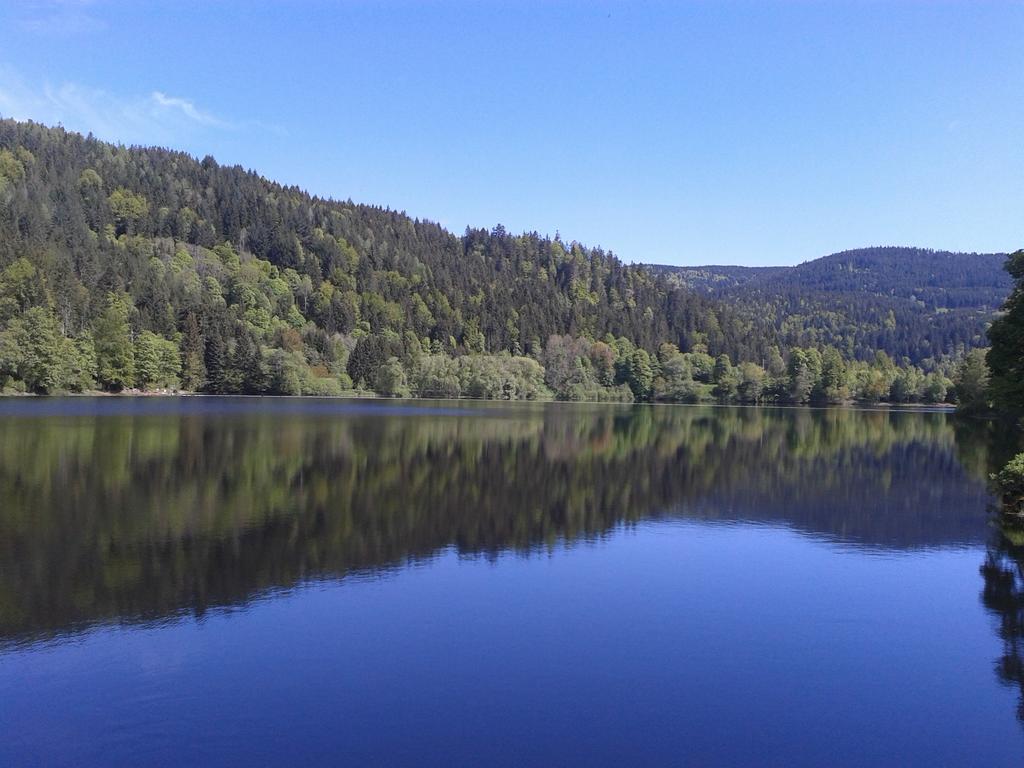 Pension Gasthaus Zur Schmiede Dachsberg im Schwarzwald Eksteriør bilde