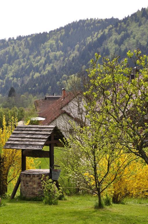 Pension Gasthaus Zur Schmiede Dachsberg im Schwarzwald Eksteriør bilde