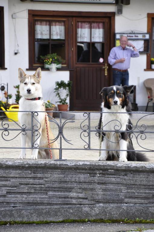 Pension Gasthaus Zur Schmiede Dachsberg im Schwarzwald Rom bilde