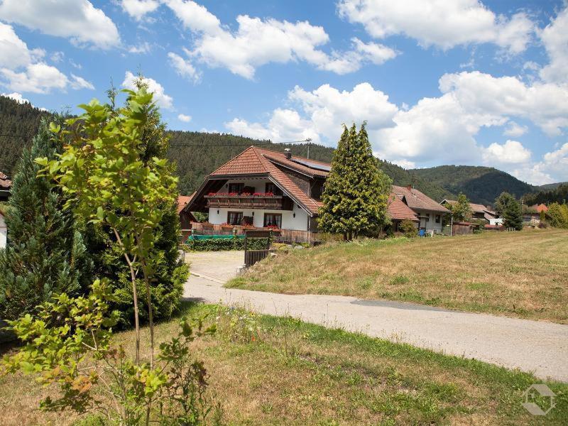 Pension Gasthaus Zur Schmiede Dachsberg im Schwarzwald Eksteriør bilde
